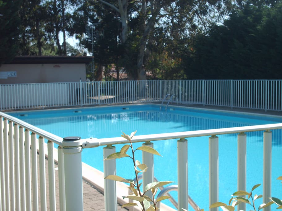 piscine résidence
