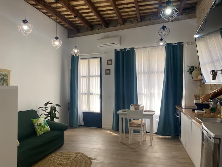 Alojamiento Céntrico Loft (B) En Valencia - BIOPARC Valencia