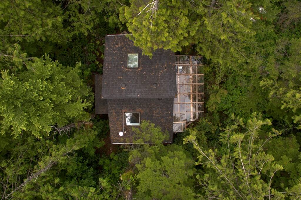 Nestled among the cedars and spruce forest. Glass-covered cedar deck on the right.