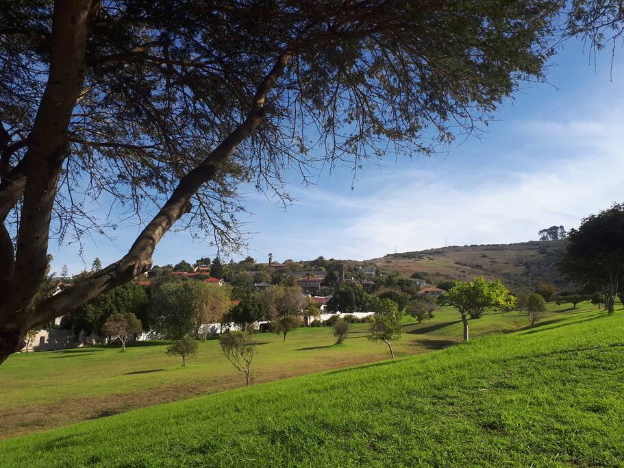 Neighbourhod close to Tygetberg Nature Reserve