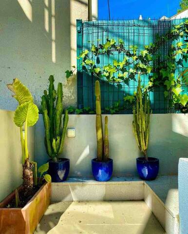 Liberdade Art, Garden & Private Pool gallery image 5