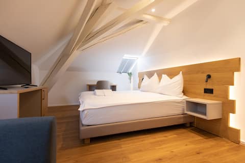 Deluxe room in Hunzenschwil