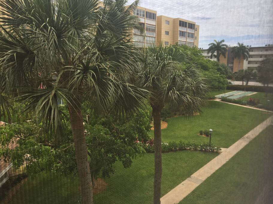 Back yard