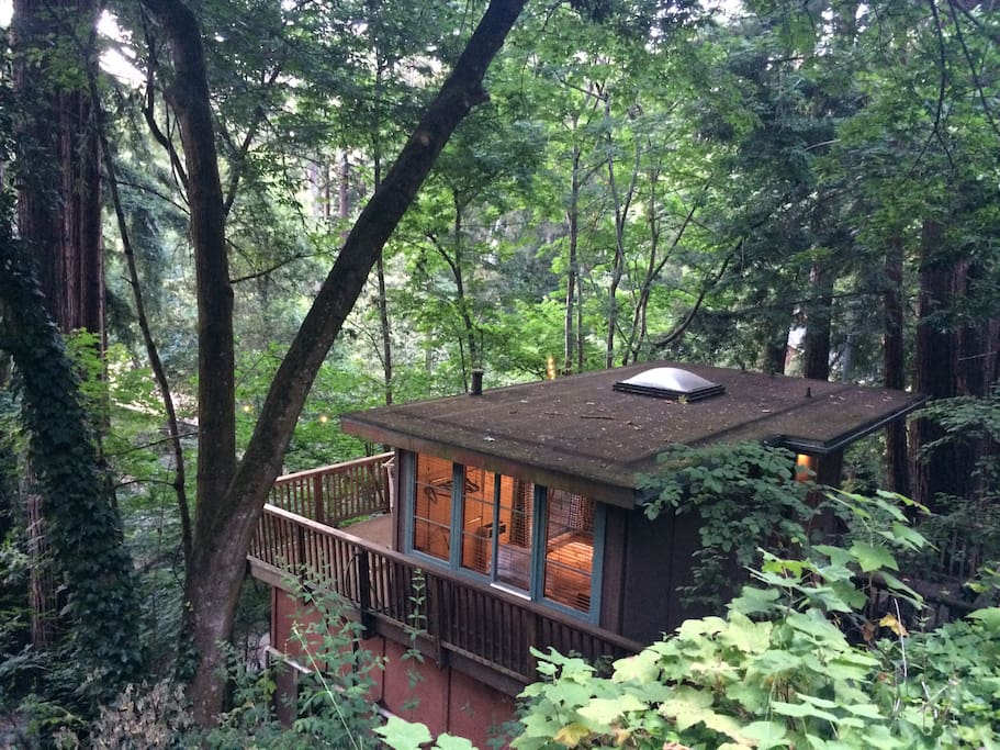 Redwood "Tree House" Studio in Aptos Guest houses for Rent in Aptos