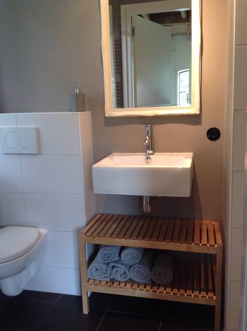 Badkamer met regendouche.