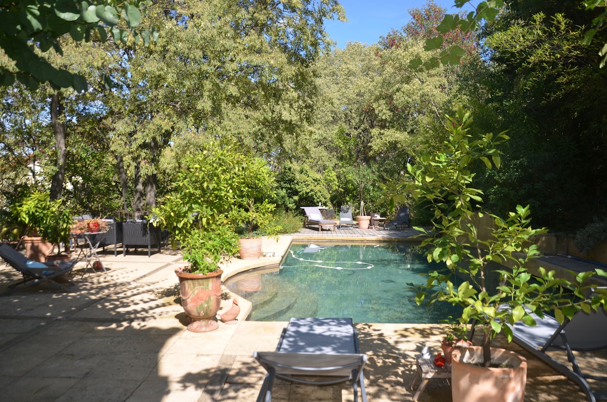 A serene outdoor space features a sparkling pool surrounded by lush greenery. Comfortable loungers are arranged around the pool deck. Potted plants add a natural touch, creating an inviting atmosphere for relaxation and leisure.