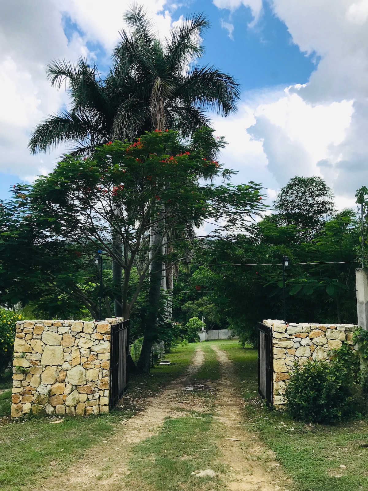 A rustic entrance is framed by stone pillars, leading down a gravel path lined with greenery. Tall palm trees and vibrant foliage create a natural canopy, offering a serene approach to the property. Bright blue skies with white clouds provide a picturesque backdrop.