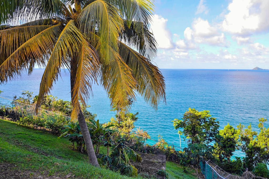 the back garden overlooking the sea