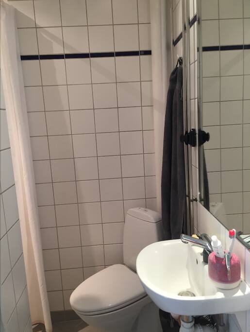 Toilet and shower to the left.