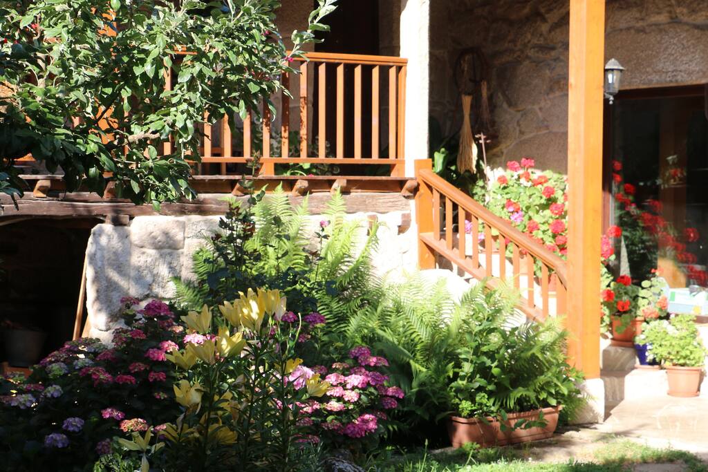 El Patio