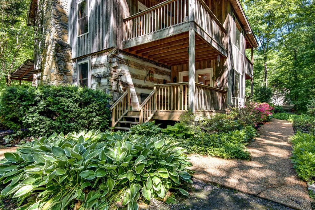 Natural, always changing plants and foliage