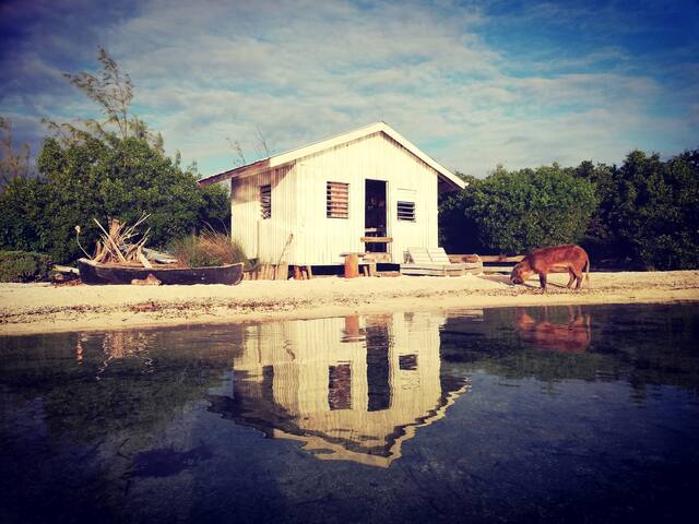 Download 3 zimmer suiten direkt am meer in virginia beach For Android Free 3 Zimmer Suiten Direkt Am Meer In Virginia Beach