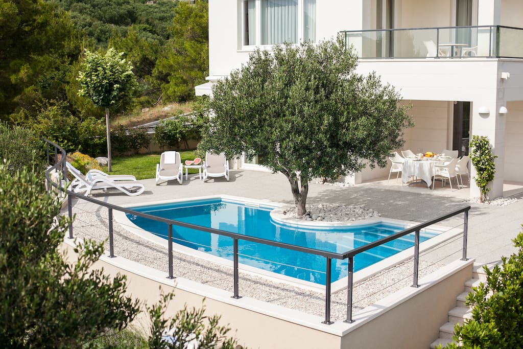 Pool with olive tree above