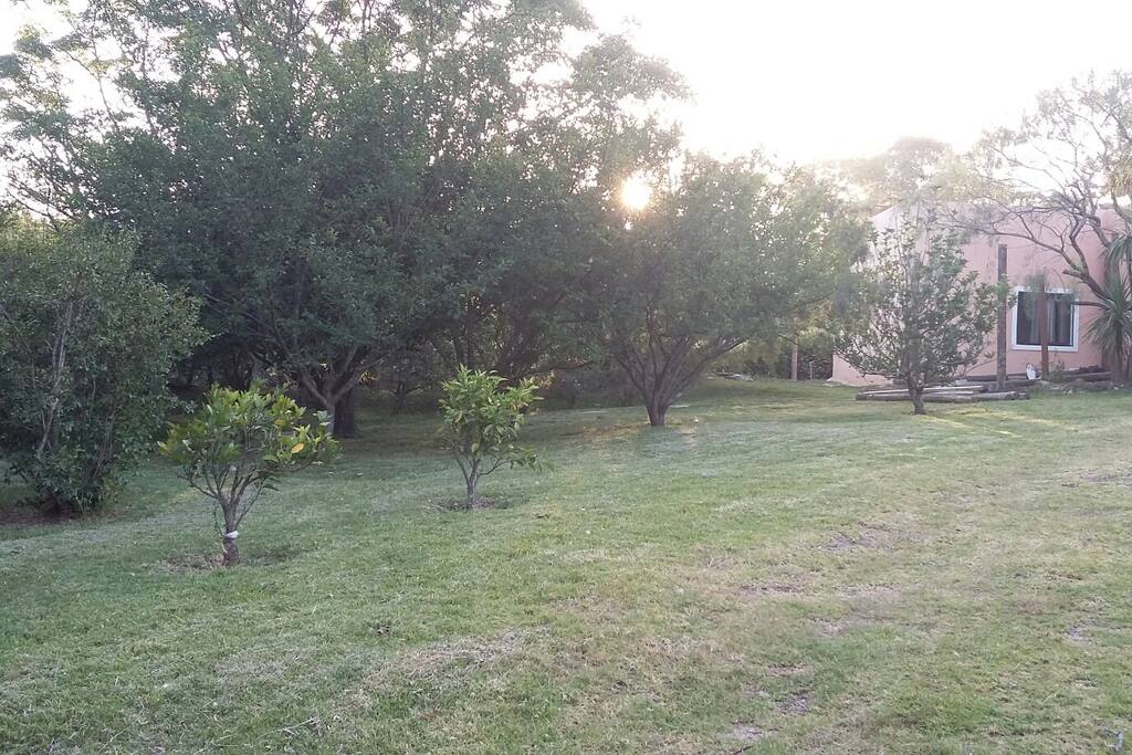 Árboles frutales en el entorno