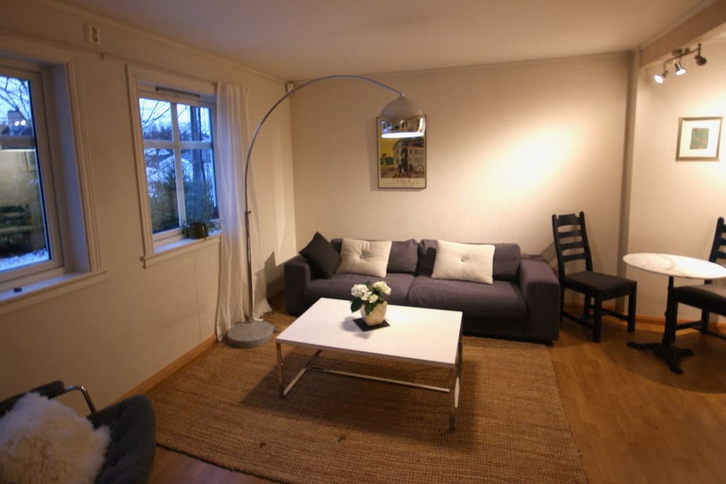 Living room big view