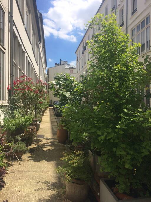 cour des bretons en été