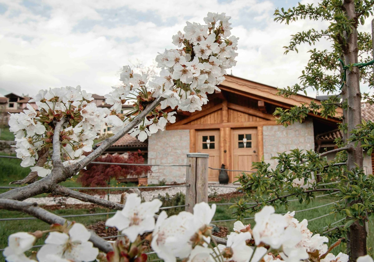 A charming wooden structure is surrounded by blooming cherry blossoms. The house features a stone and wood exterior, with two distinctive doors facing the garden. Lush greenery and additional trees are present in the foreground, contributing to the natural setting.