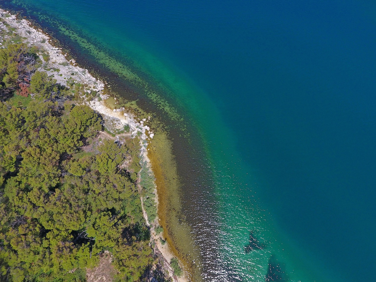 An aerial view captures a serene coastline featuring clear turquoise waters. The shoreline is bordered by lush green trees, blending seamlessly with the sandy beach. Subtle ripples create a gentle texture on the water, while the rocky edges hint at the natural beauty of the area.