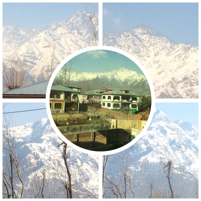 A winters view from the house