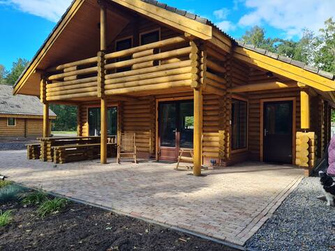 unique tree trunk house with Jacuzzi