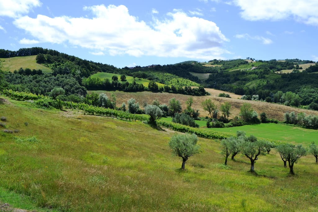 Ampi spazi esterni, 5 km di sentieri per passeggiate solo per voi