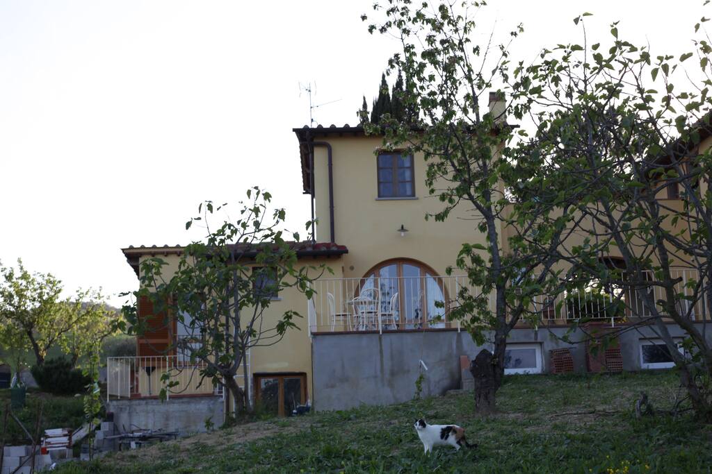 esterno