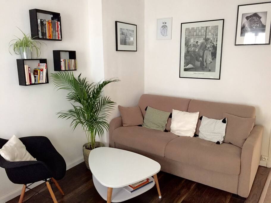 Living room (with very confortable bed-sofa for 2 people)