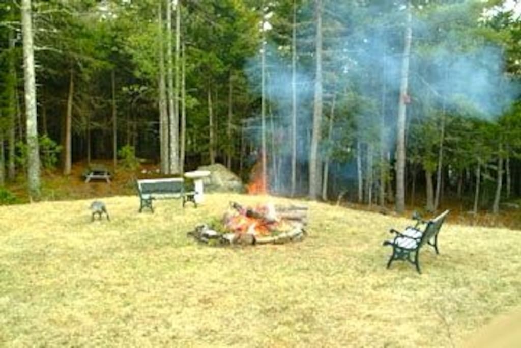 Large secluded backyard on wooded hillside. Fire pit, picnic table, and barbeque.