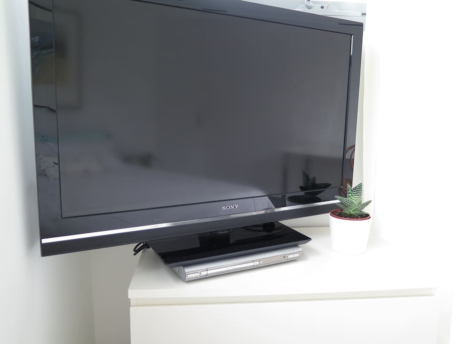 Television with DVD player in bedroom. Can connect laptop to TV.