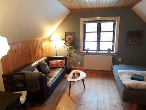 Ekkodalen, cozy room in house.