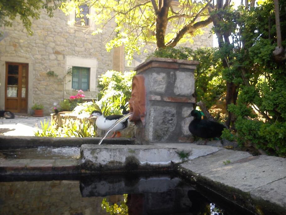 Ingresso casale