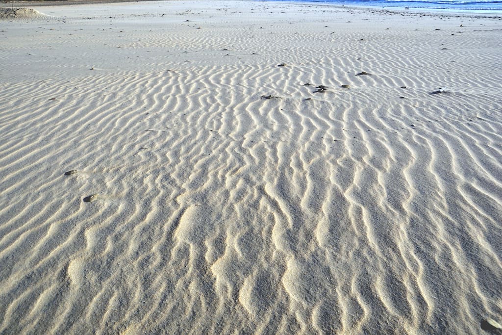 Playas vírgenes.