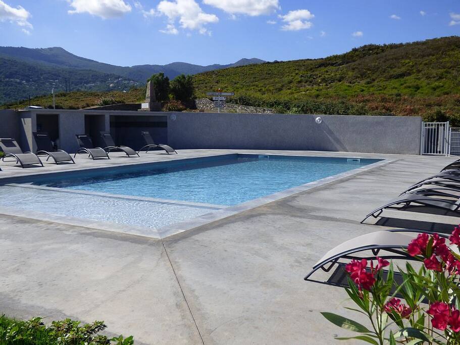 Piscine 11*6 m
