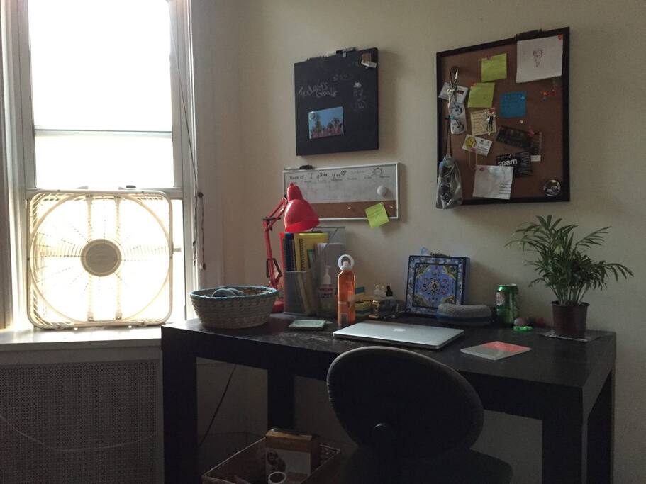The ZONE if you're trying to be productive