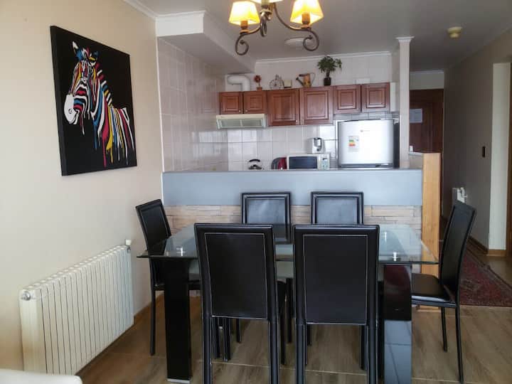 Apartment in Termas de Chillán