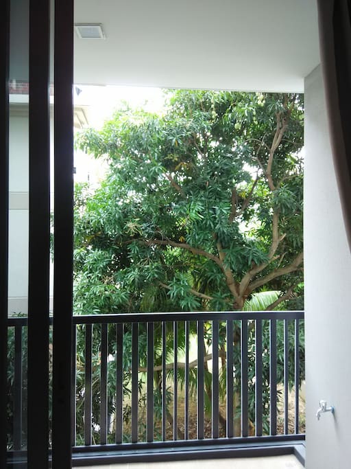 Nice view :)