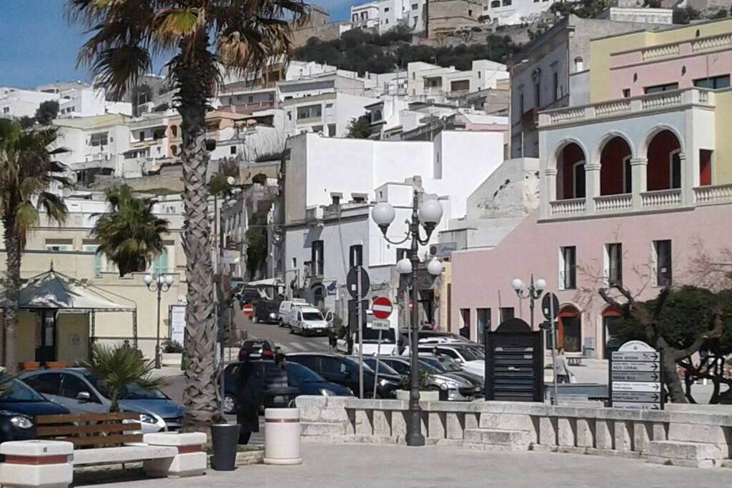 Castro marina.