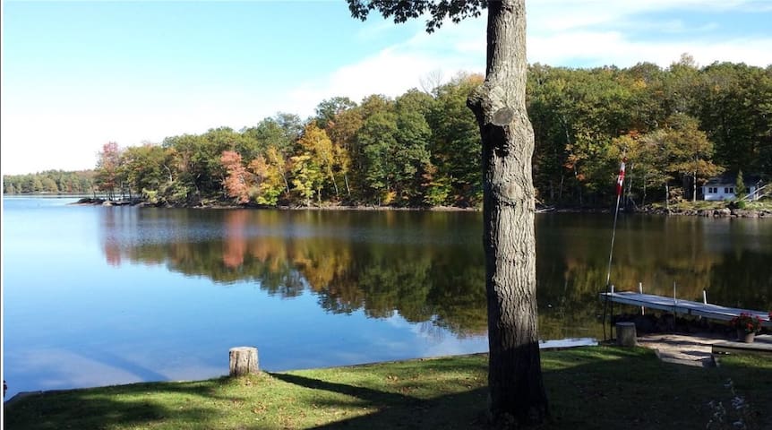 Airbnb Bobs Lake Vacation Rentals Places To Stay
