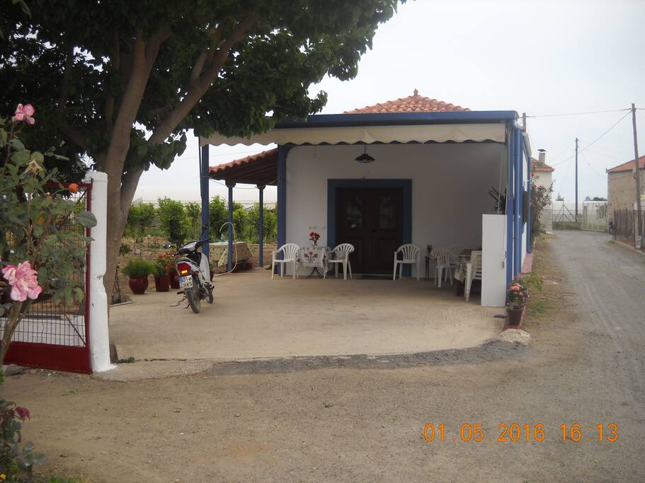 The front yard is ideal for the kids to play and to enjoy your meals or coffee under the shadow of the mulberry tree.
