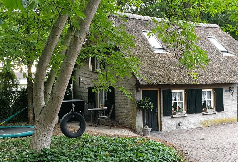 A charming cottage features a thatched roof and is surrounded by lush greenery. A tire swing hangs from a tree nearby, while the entrance showcases flowers in window boxes. A small table and chairs are positioned outside, inviting relaxation in the tranquil garden setting.