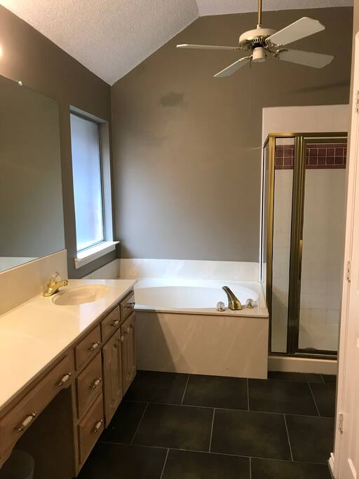 Master bedroom bathroom
