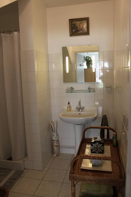 Salle de douche + toilettes