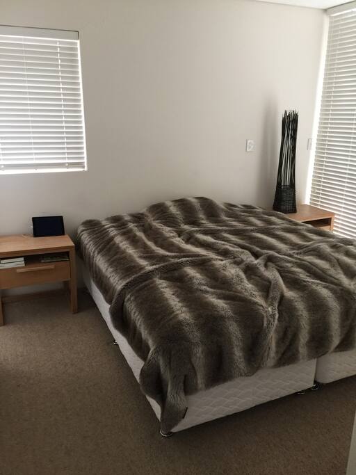 Master bedroom with king size bed