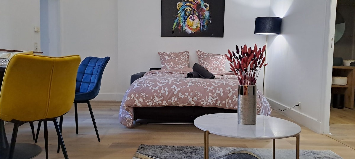 Top Airbnb: 61 m² apartment in the heart of Bourges à Bourges