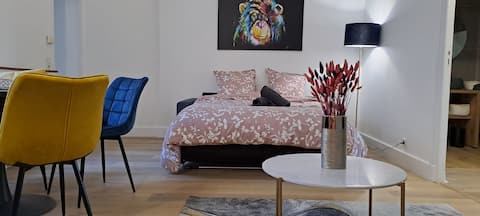 Top Airbnb: 61 m² apartment in the heart of Bourges in Bourges