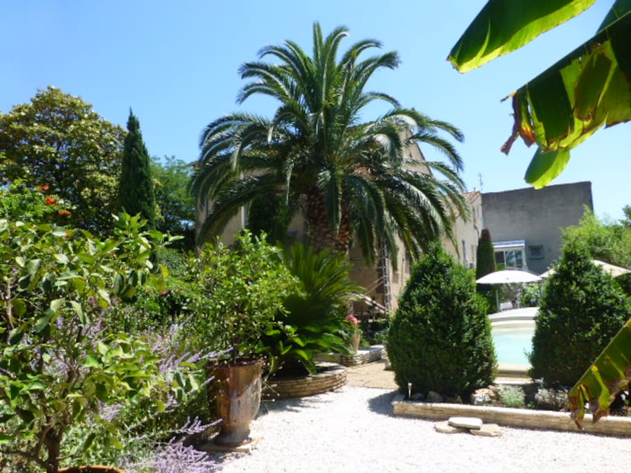 Jardin