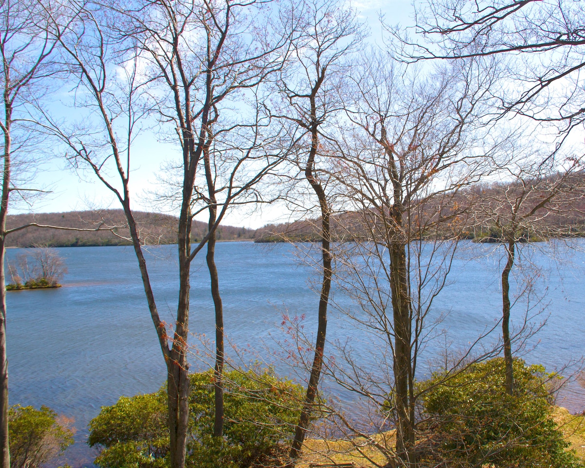 A serene lake is framed by leafless trees, with rolling hills visible in the background. The calm water reflects the blue sky, creating a peaceful natural setting. Low shrubbery adds texture to the shoreline, enhancing the tranquil atmosphere.