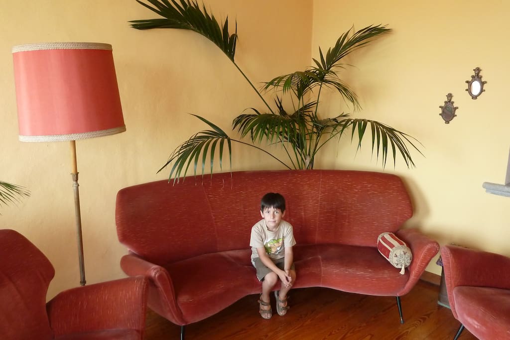 divani & sofa 60's