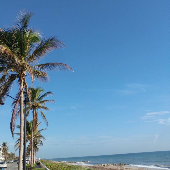 Beautiful sight and sounds that make up Palm Beach Island all close by