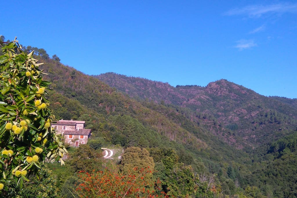 La Peyrarié, une maison d'exception dans le parc National des Cévennes.